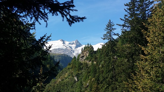 Nationalpark Hohe Tauern - stauenen, wandern und genießen