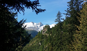 An excursion to the Hohe Tauern National Park 